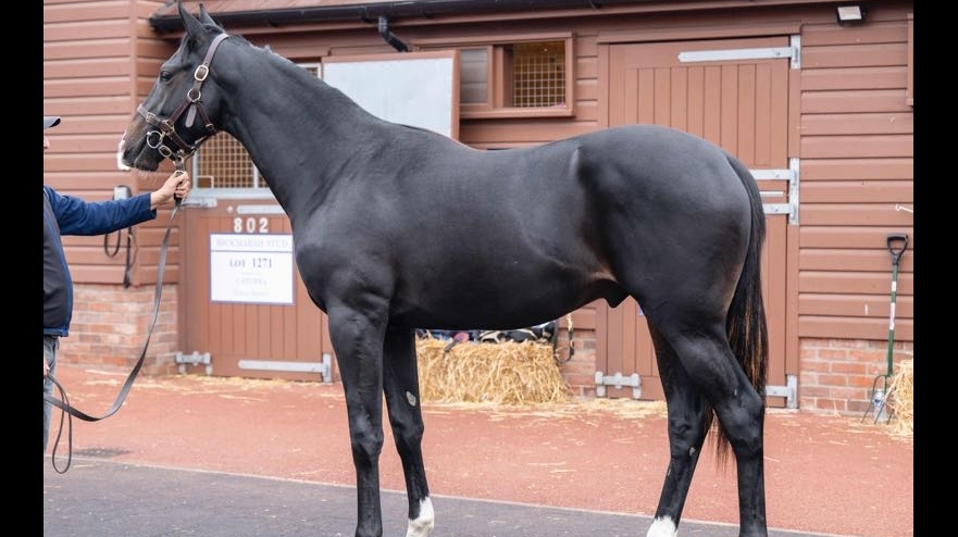 BATED BREATH - VASHTI