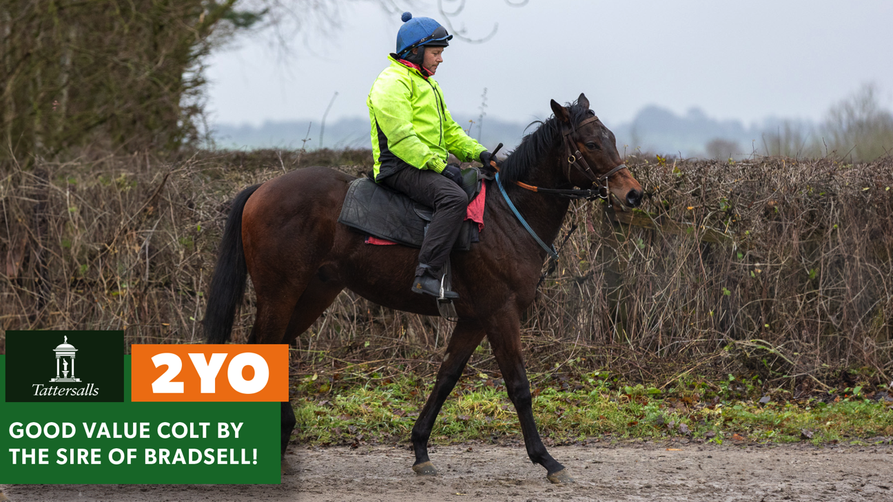 TASLEET - BRADLEY HALL