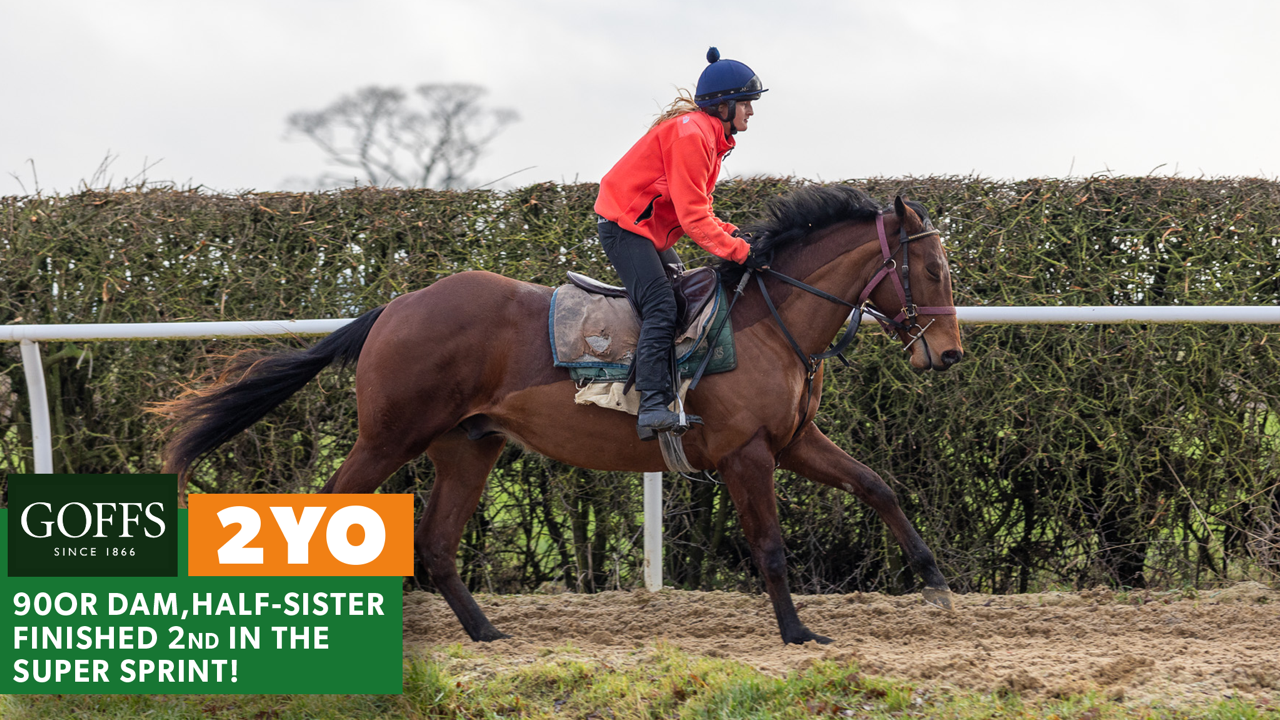 ACLAIM - FLOATING ALONG