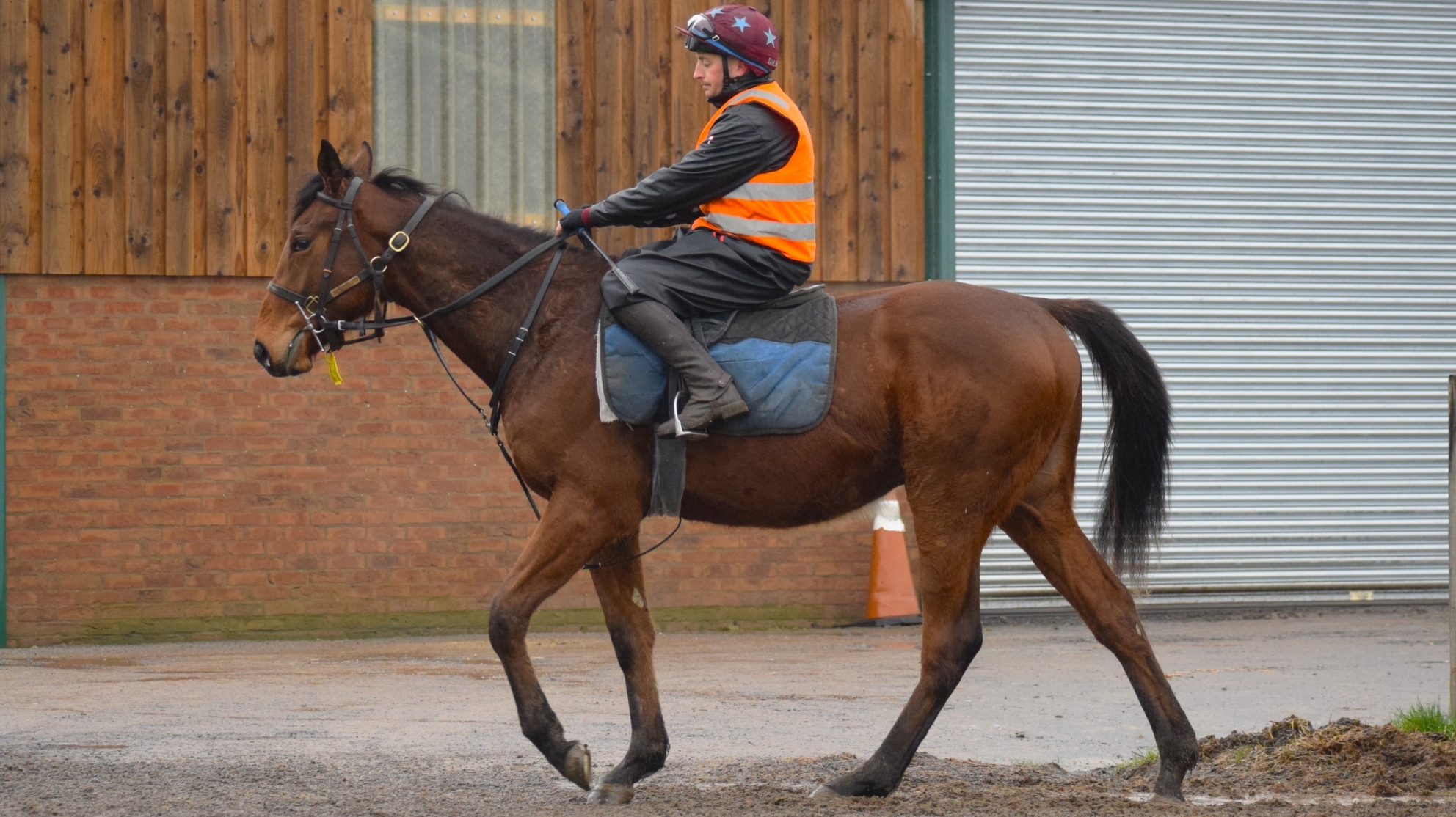 WELLS FARHH GO - MAYBEAGREY