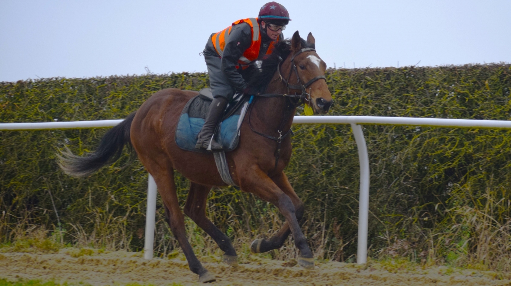 WELLS FARHH GO - MAYBEAGREY