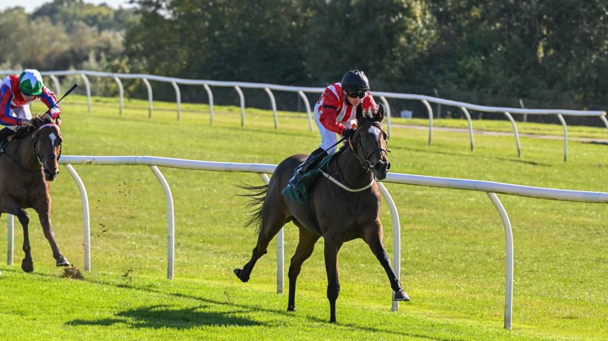 BLADEY LADY wins for a third time this season