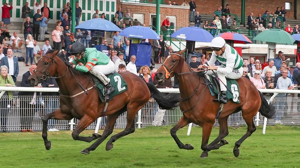Licit Wins At Catterick Under Sean Kirrane