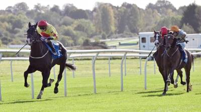 KING OF PERSIA wins well at Leicester under David Allan
