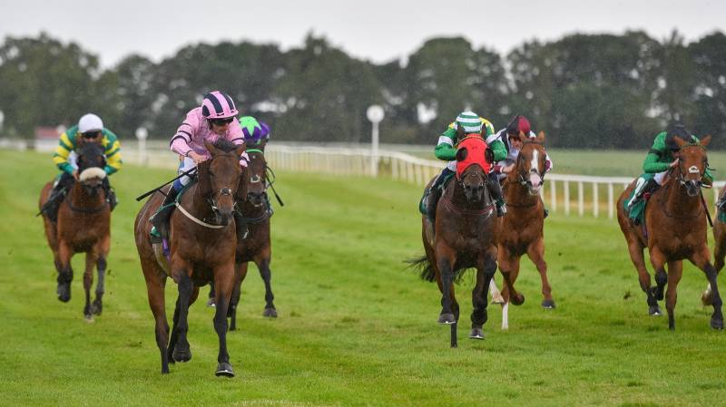SNASH flies home up the near-side rail to win at Thirsk