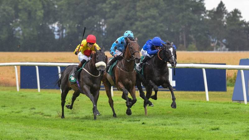 DANZAN gets his head in front in a tight finish at Thirsk