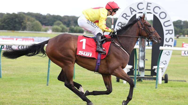 HIGHWAYGREY back to his best at Ayr