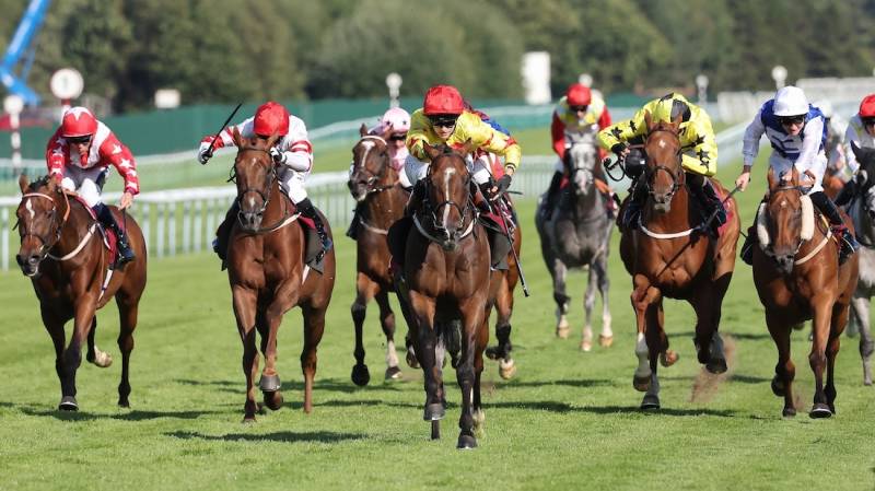 JEWEL MAKER sweeps from last to first to win at Haydock