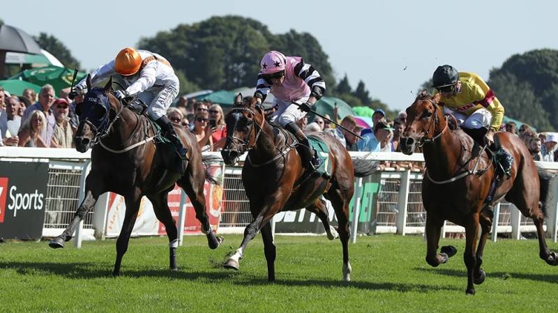 GARDEN OASIS records his fourth success at Ripon