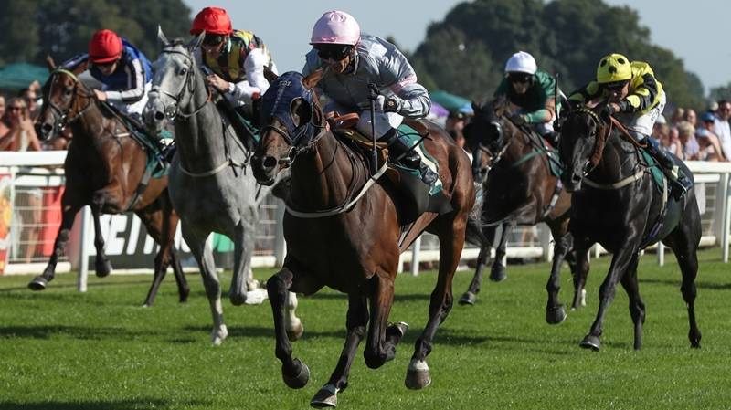 MARBUZET out stays his rivals to win at Ripon