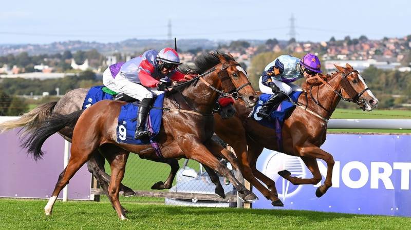 MOUNT KING beats TASEVER by a nose at Pontefract