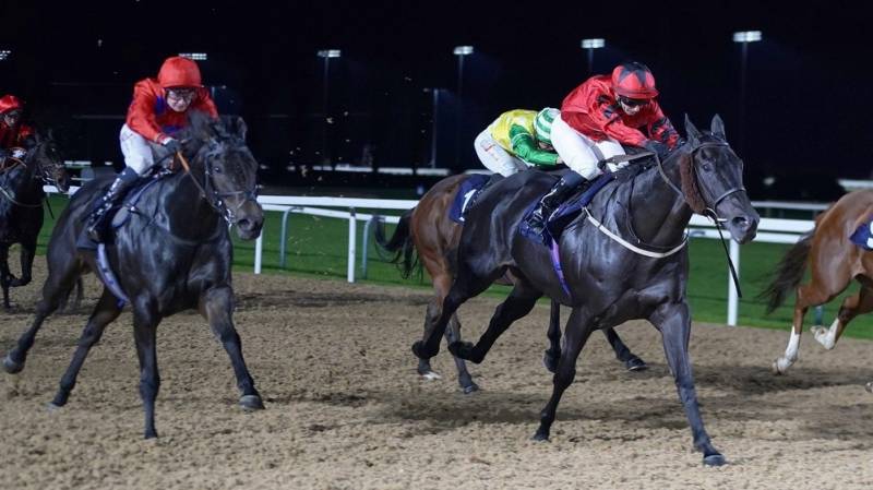 CANARIA PRINCE makes all to win at Southwell