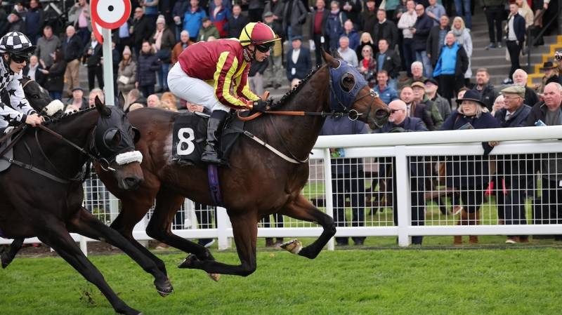 ALBEGONE finishes strongly to win cosily at Musselburgh