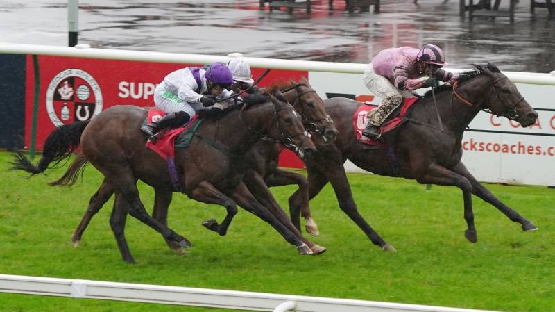 VALENTINE CATCHER wins on racecourse debut at Redcar