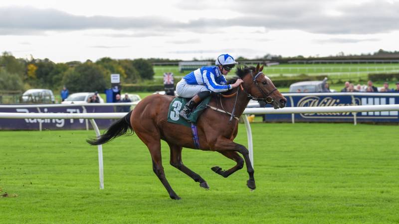 BUBBLES WONKY wins at Catterick on only his second start