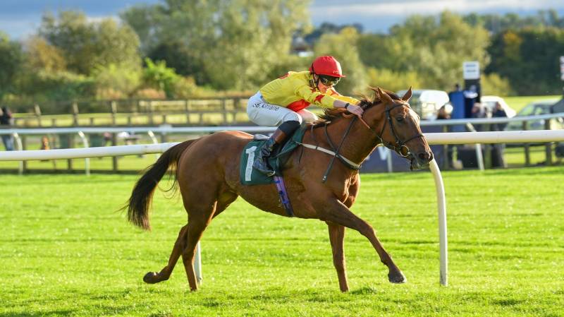 QUEST FOR FUN pulls well clear of his rivals to win at Catterick