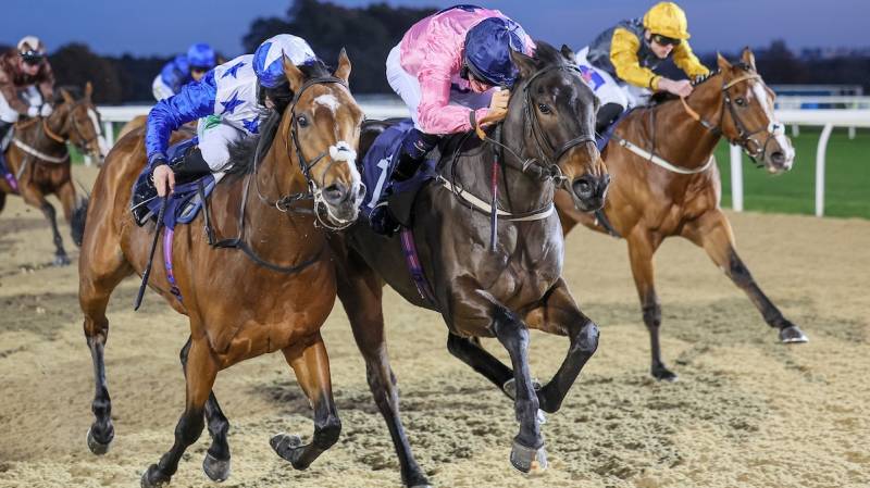 MONKS DREAM just holds on to win at Newcastle