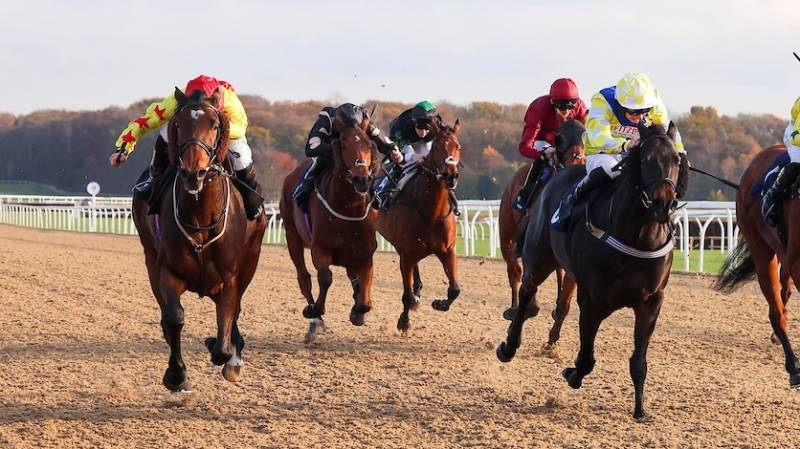 HIGHWAYGREY finishes strongly to win at Newcastle