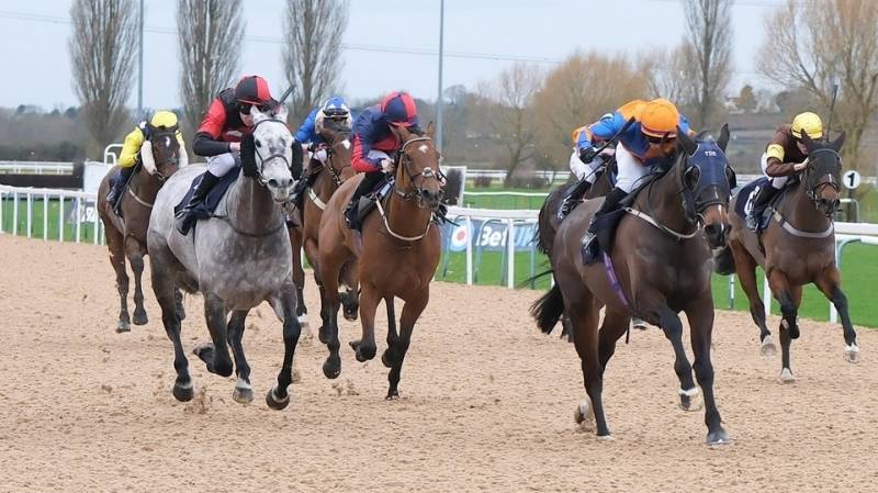 PERFECT SWISS holds on to win at Southwell