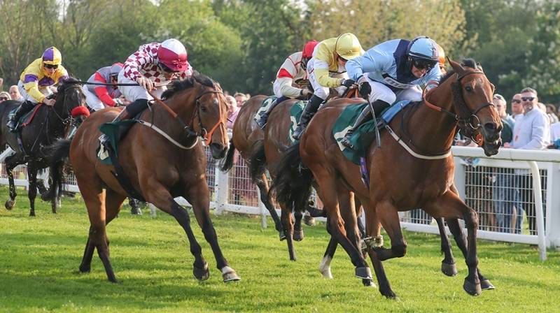 MATTICE gets his head in front at Ripon