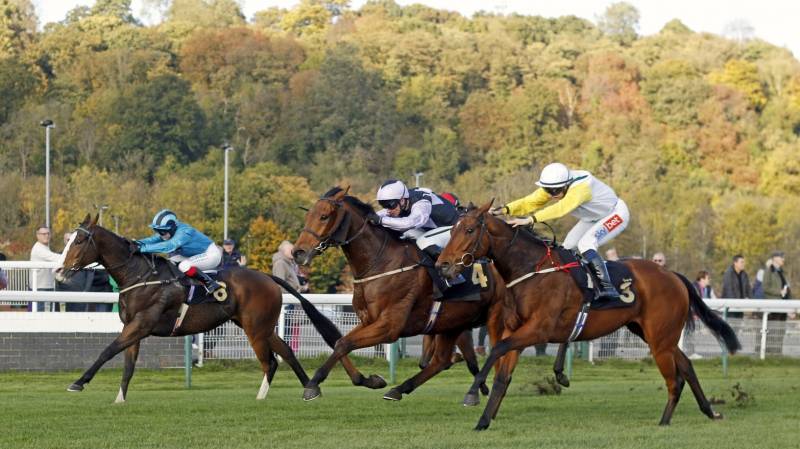 BAY BREEZE wins at Nottingham under David Allan