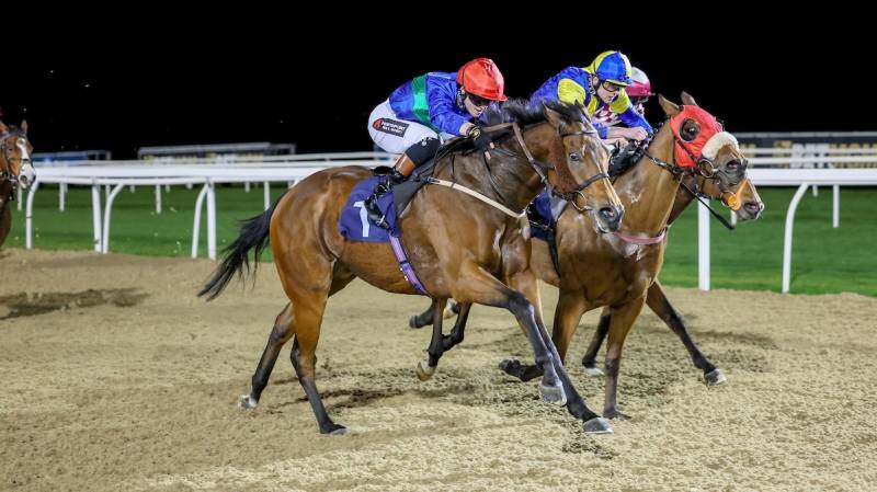 SPIRIT OF APPLAUSE gets up in the shadow of the post to win