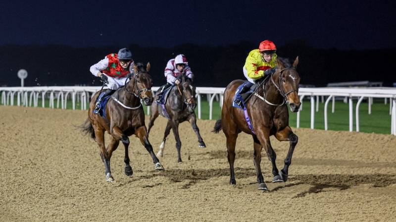 CASH IN breaks his maiden at Newcastle