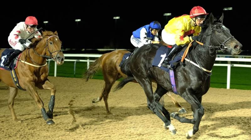 HAPPIER makes virtually all to win at Southwell