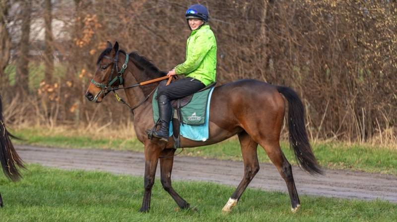 NEW 2YO SYNDICATES FOR 2025