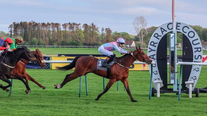ALFIE BOY makes all to win at Ayr under Sean Kirrane