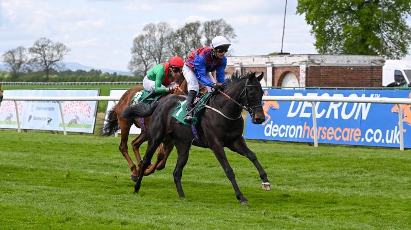UNDER THE RADAR made all to win at Thirsk