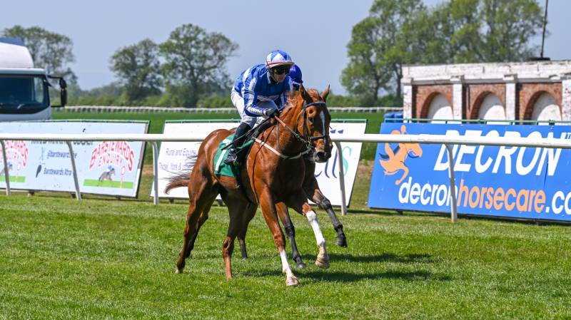 REVIVAL POWER ​wins impressively on her racecourse debut