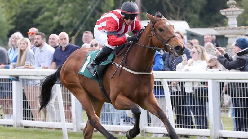 BARMYBLADE wins for the third time this season