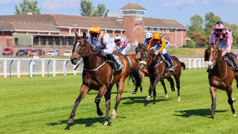 GARDEN OASIS battles back to win at Ayr