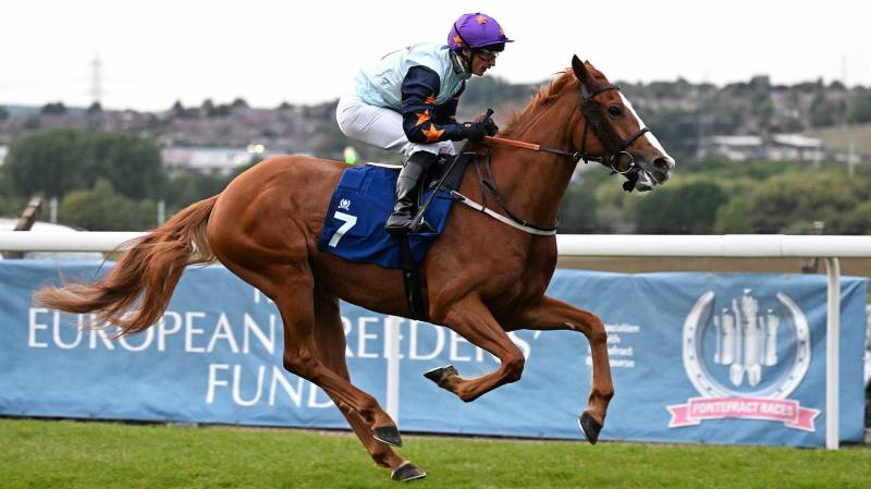 MOUNT KING pulls clear to win at Pontefract