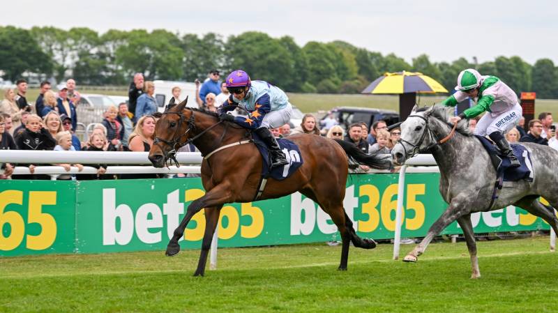 MYSTERYOFTHESANDS wins at Beverley under David Allan