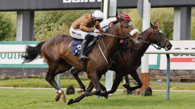 ROSIE BALOO gets up on the line to win at Southwell
