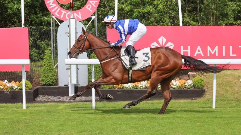 BUBBLES WONKY makes all to win at Hamilton