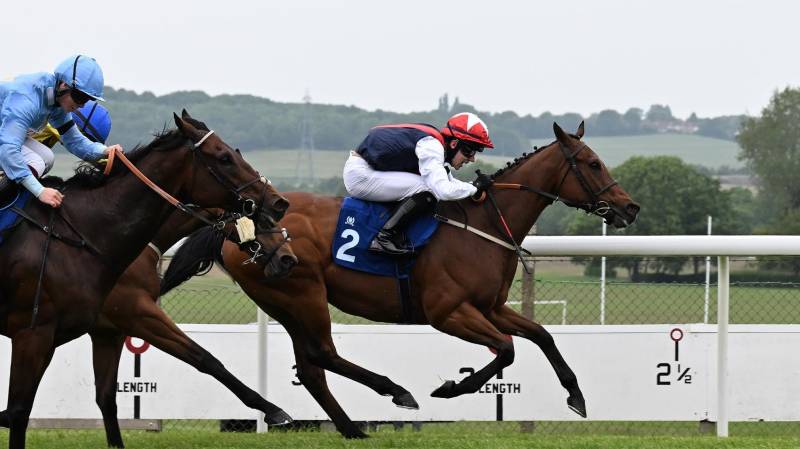 COPPER KNIGHT wins for the 16th time at the grand old age of 11