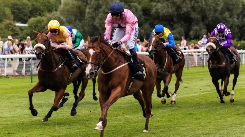 A second career success for MISS HATHAWAY at Nottingham