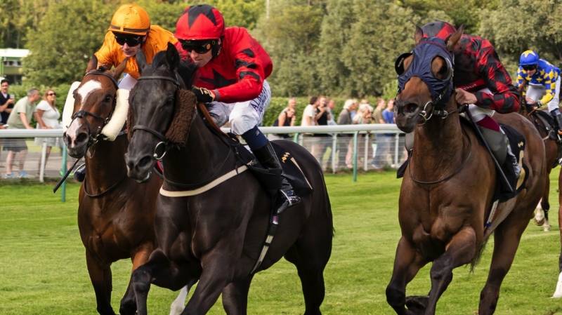 CANARIA QUEEN completes a double at Nottingham