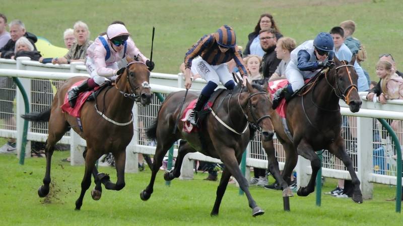 DOUBLE PARKED shows a game attitude to win at Redcar