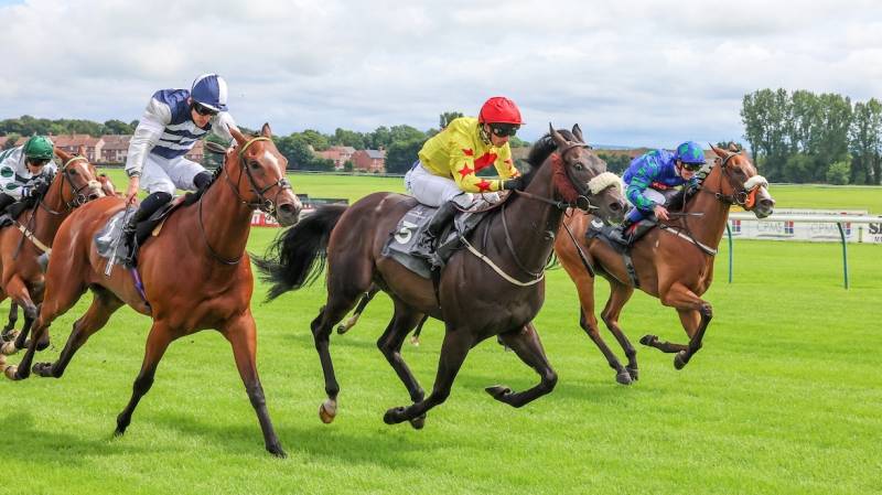DANZAN fights back to win at Ayr