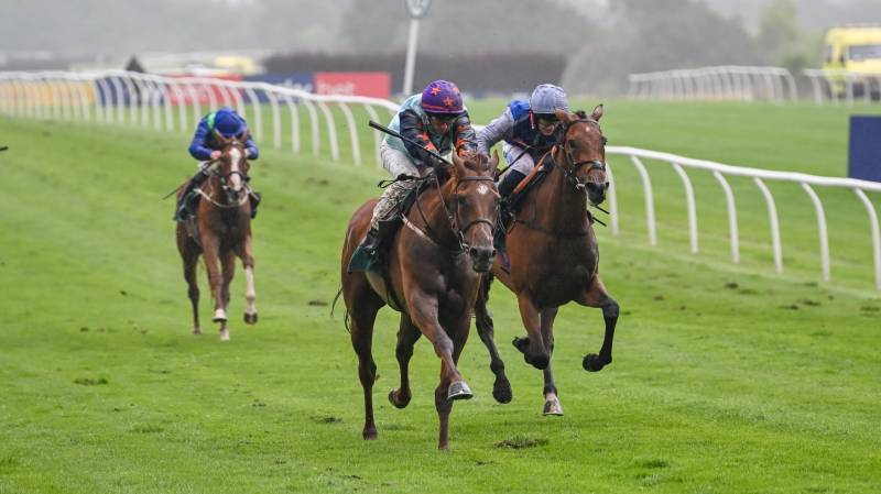 BRAVE EMERALD gets off the mark with a win at Catterick