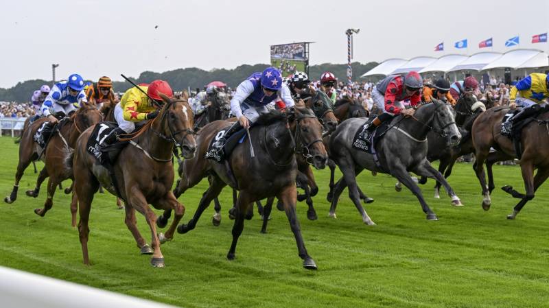 QUEST FOR FUN flys home to win at York