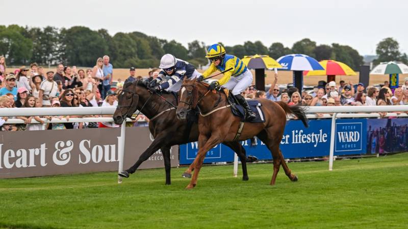POET'S DAWN gets up late to force a dead-heat at Beverley