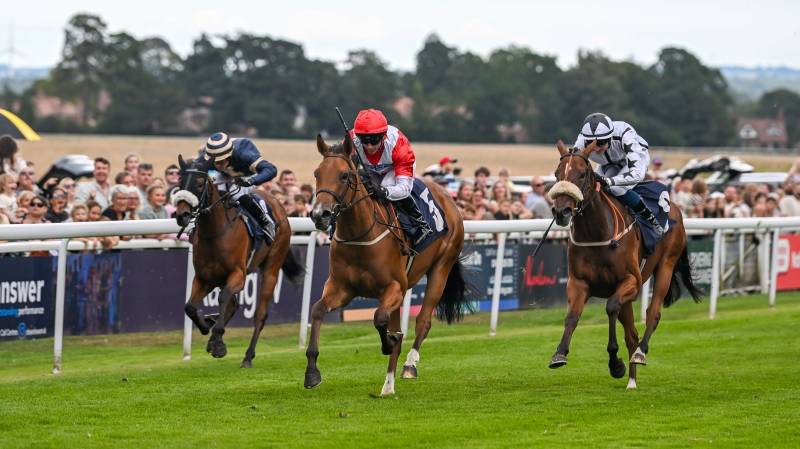 HANNEY GIRL breaks her maiden at Beverley