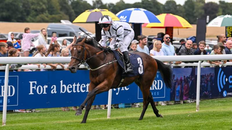 U TURN wins comfortably at Beverley