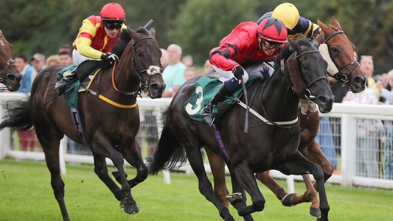 CANARIA QUEEN finishes strongly to win at Ripon