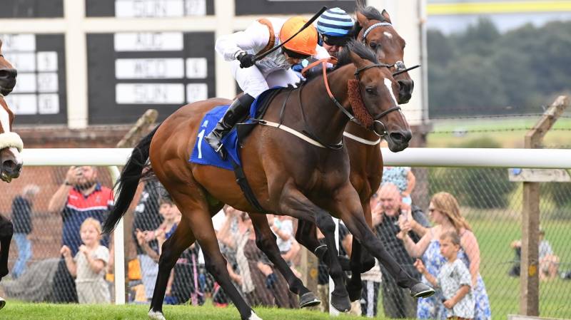 GARDEN OASIS gains his third success of the season